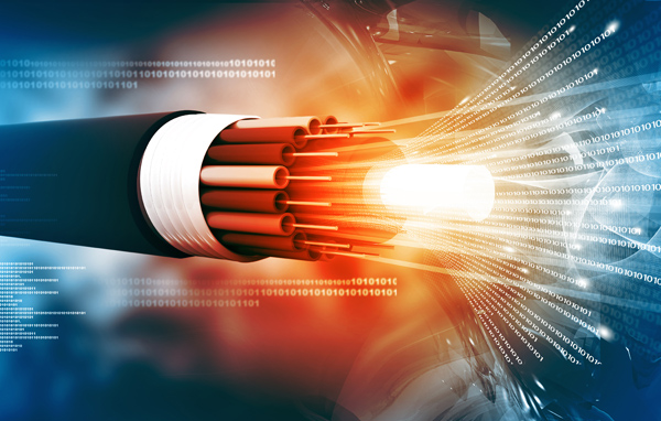Comparison : Armored vs Unarmored Fiber Optic Cables Explained