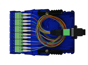 MPO - LC Fiber Cassette - 12C OS2 (APC) - With Cable