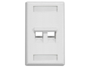 DINTEK 2 Port Angled Wall Plate US Style